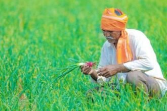 PM Kisan Samman Nidhi