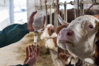 veterinary pharma franchise company